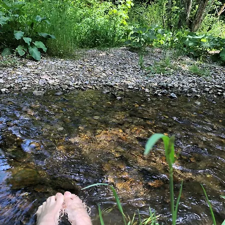 Apartamento Natur-&aktivoase Buchenberg (Bavaria)