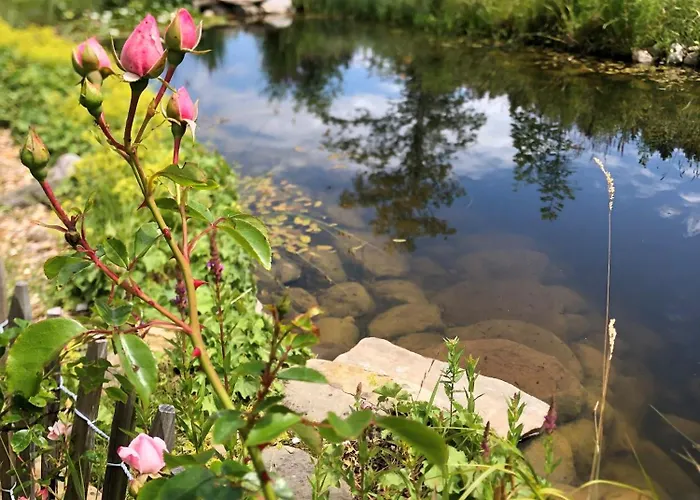 Διαμέρισμα Natur- & Aktivoase Buchenberg (Bavaria)