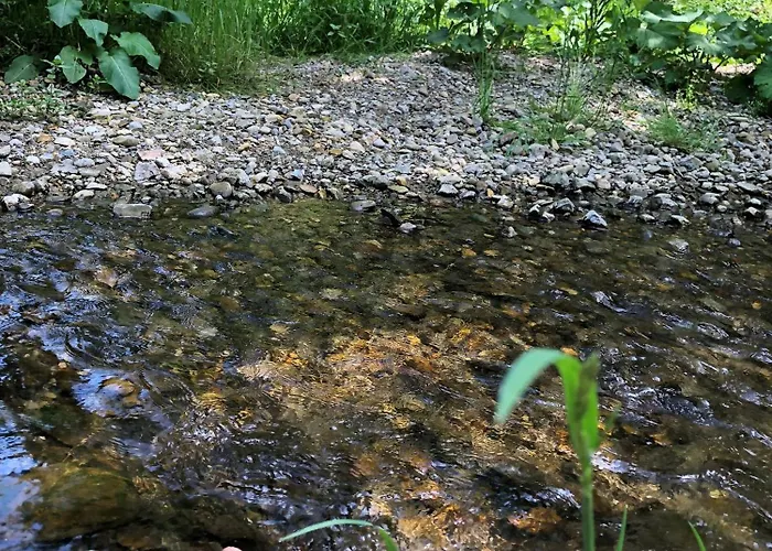 Lägenhet Natur- & Aktivoase Buchenberg (Bavaria)